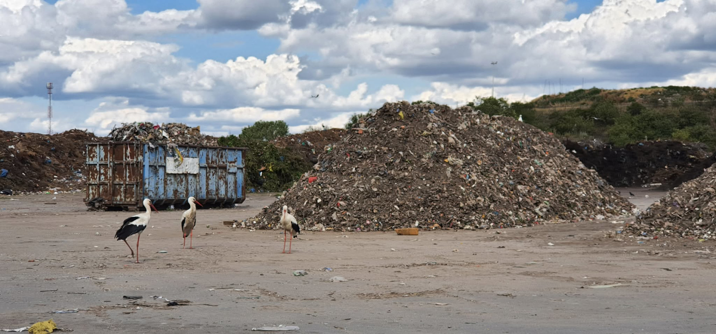 Pracownicy RIPOK mają dość. Ujawniamy treść pisma do prezydenta