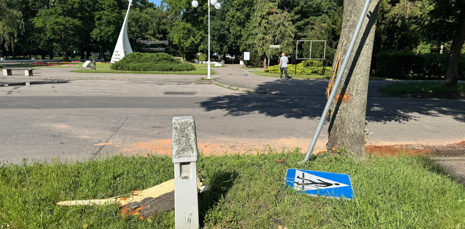 Inowrocław - Skosiła znak, uderzyła w drzewo. Była pijana