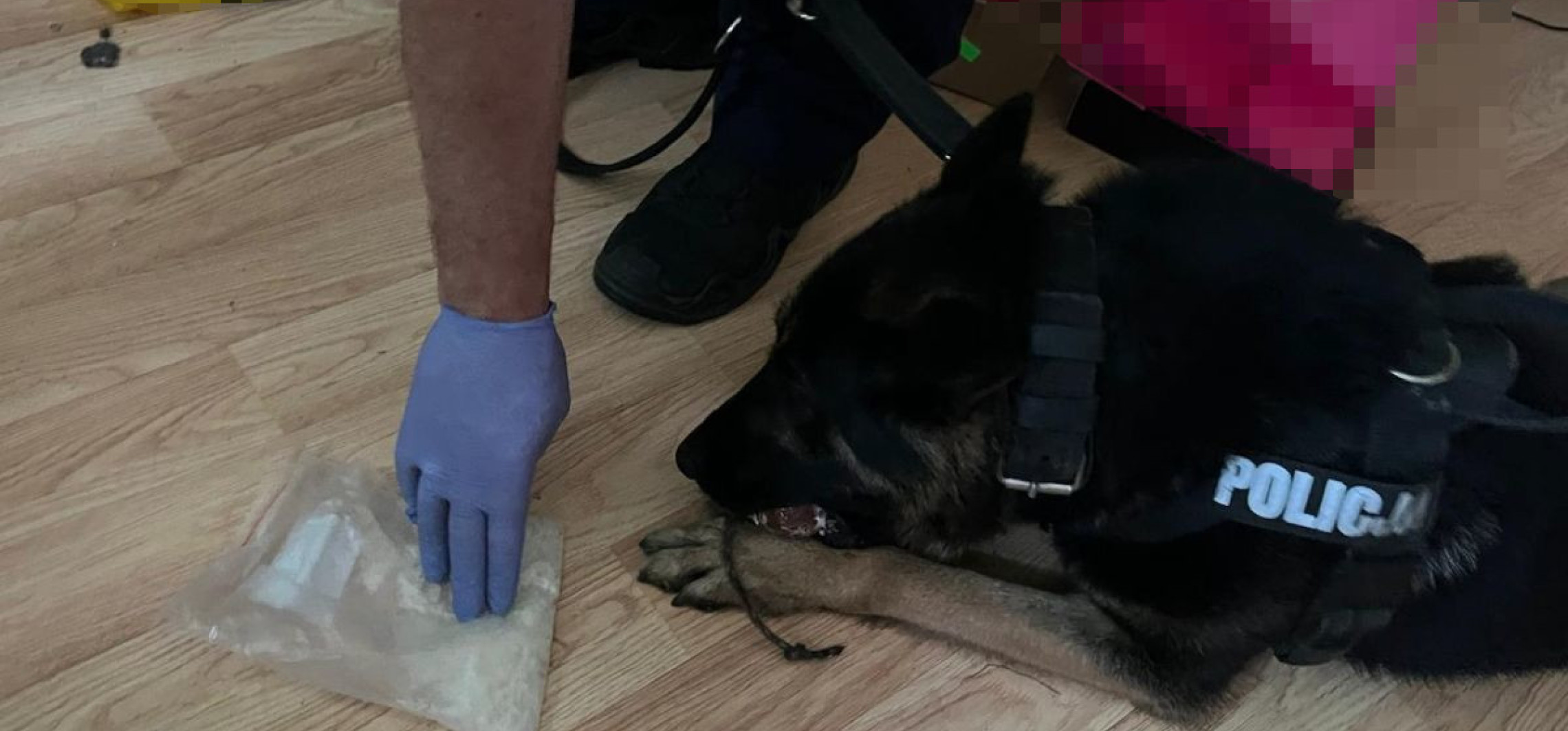 Jechał rowerem przez pasy, miał przy sobie narkotyki