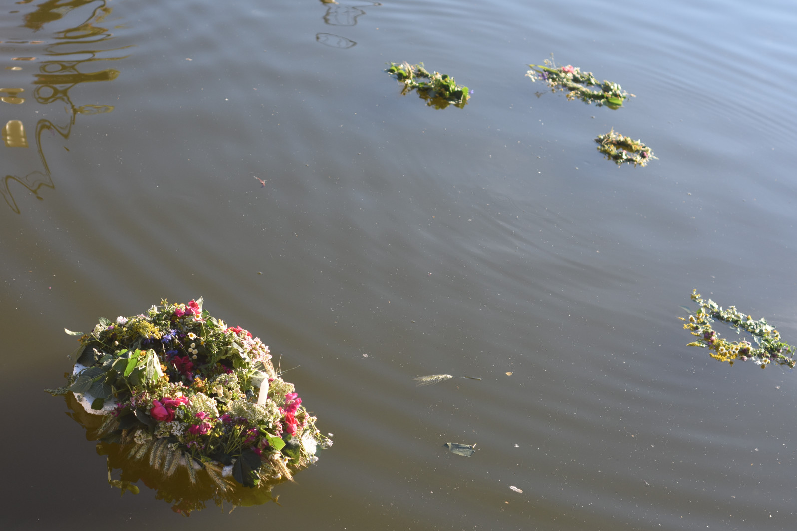 Będą pleść wianki jak dawniej. W muzealnym ogrodzie