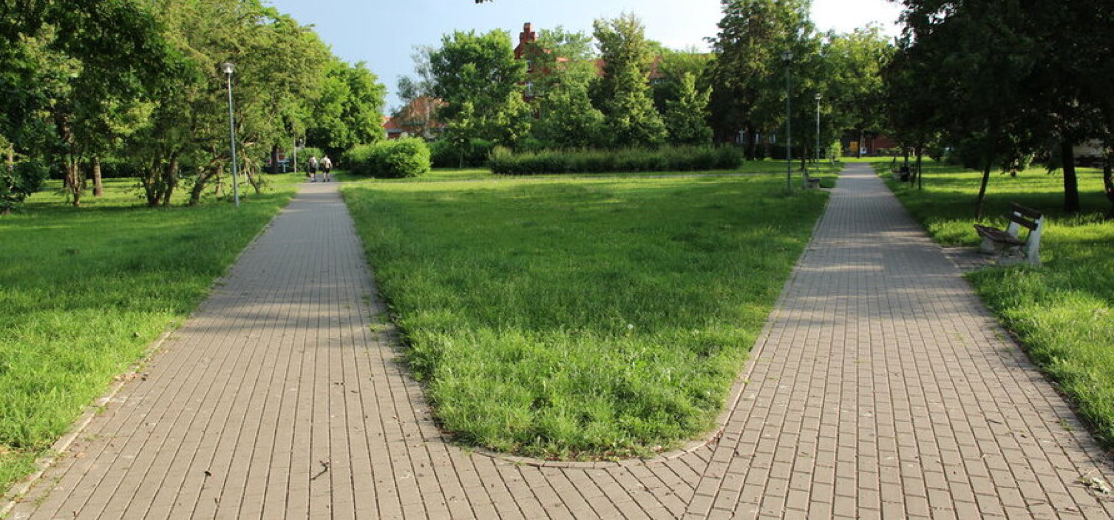 W mieście powstanie zielony skwer z ogrodem deszczowym