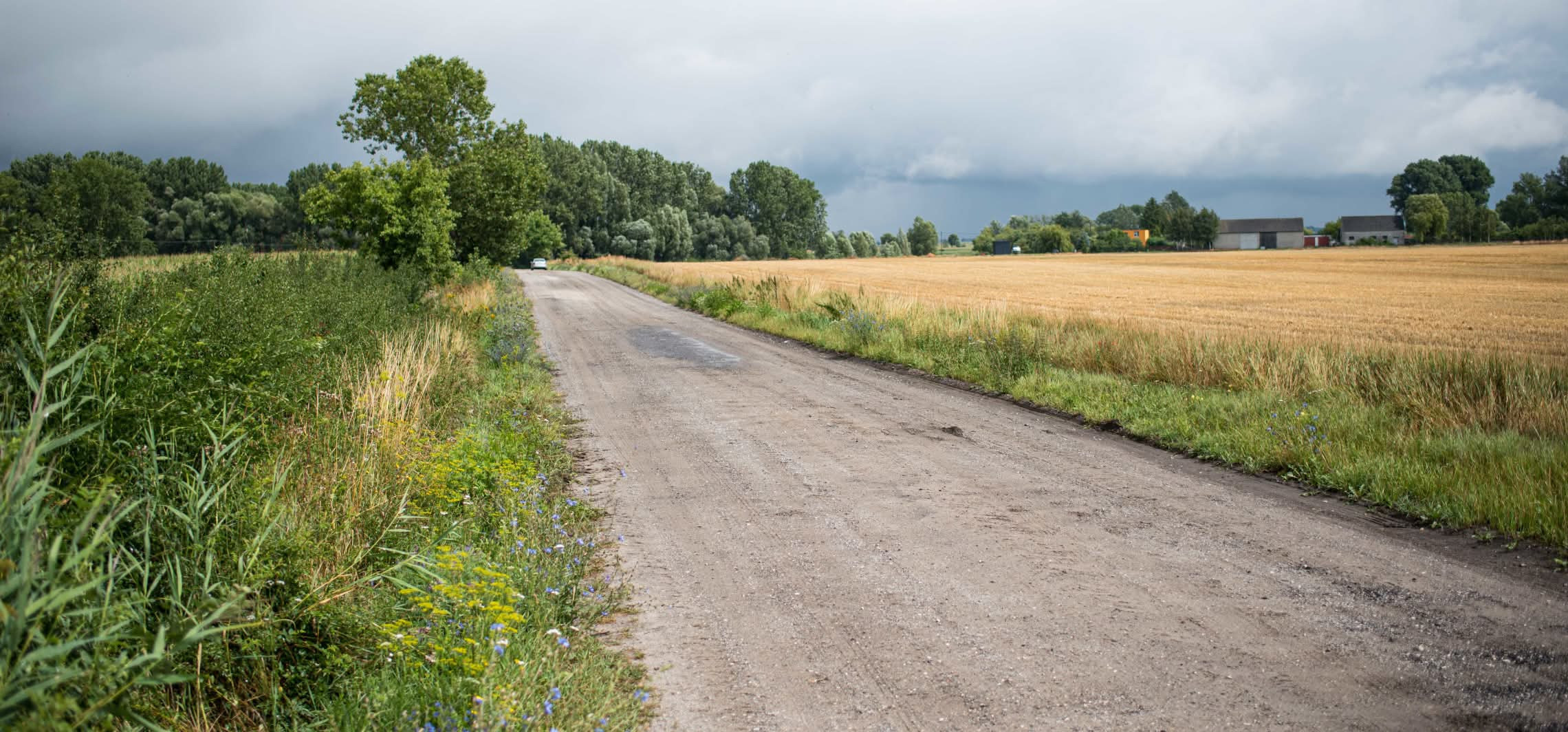 Są dodatkowe pieniądze na drogi dojazdowe do gruntów rolnych