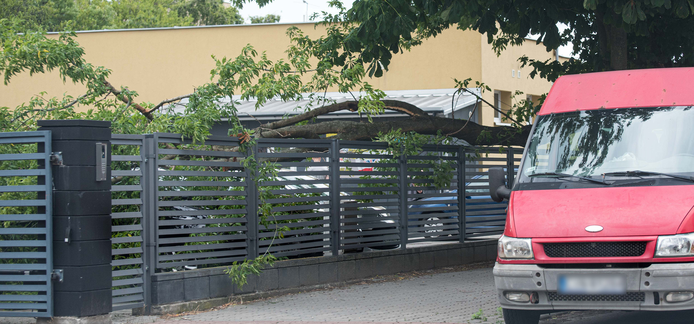 Inowrocław - Na Piastowskim konar przygniótł samochody