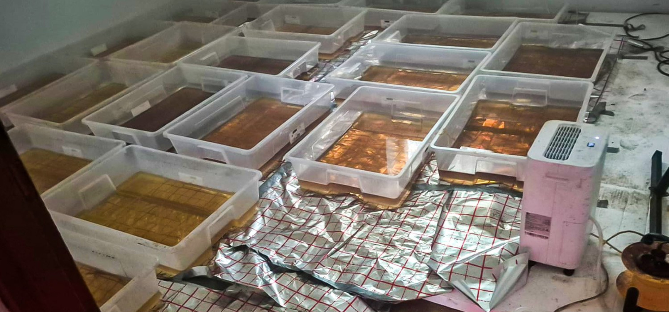 Duża akcja CBŚP w Inowrocławiu. W hali zabezpieczono 350 kg narkotyku