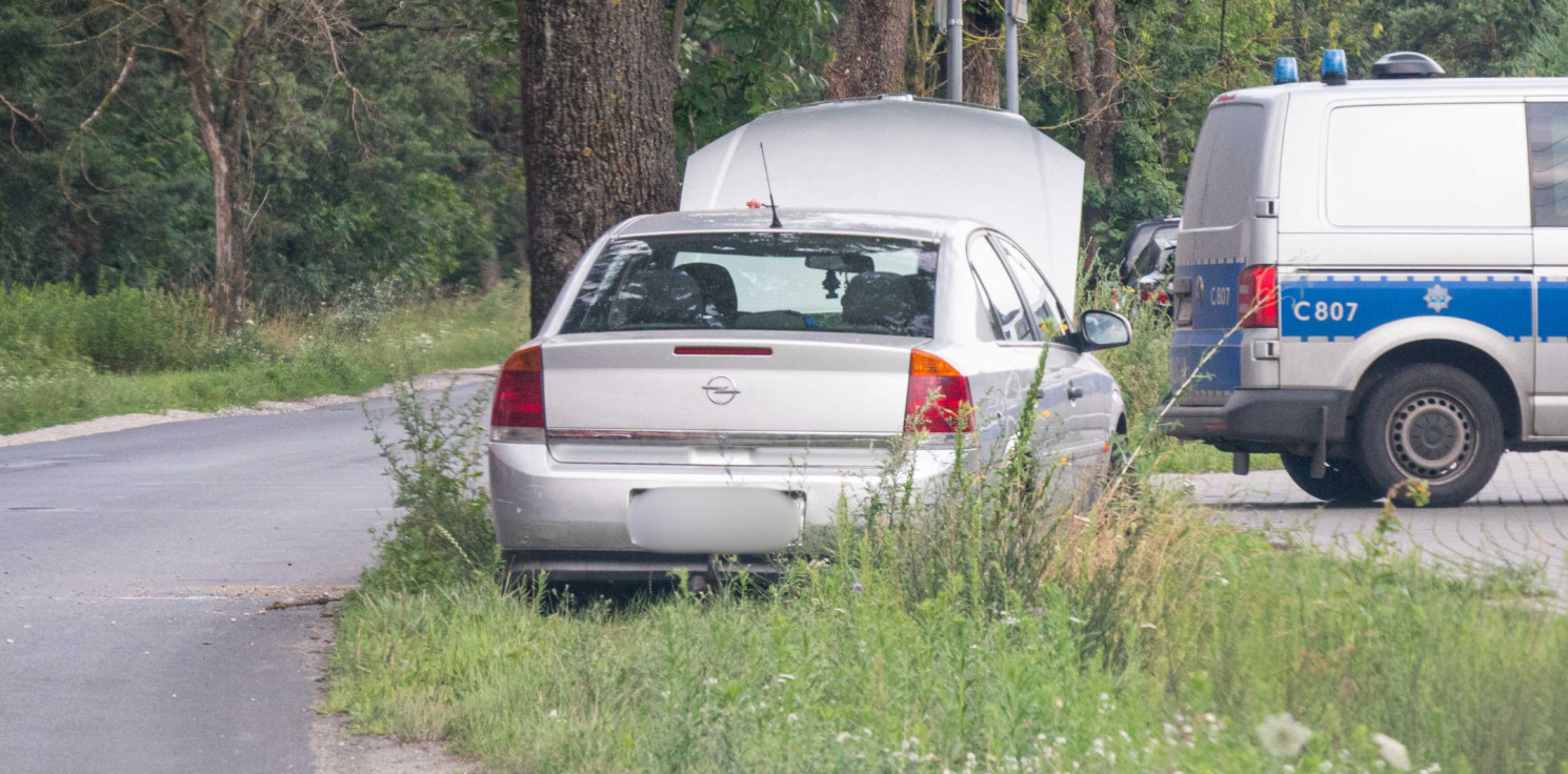 Rojewo - Opel uderzył w drzewo niedaleko Rojewa