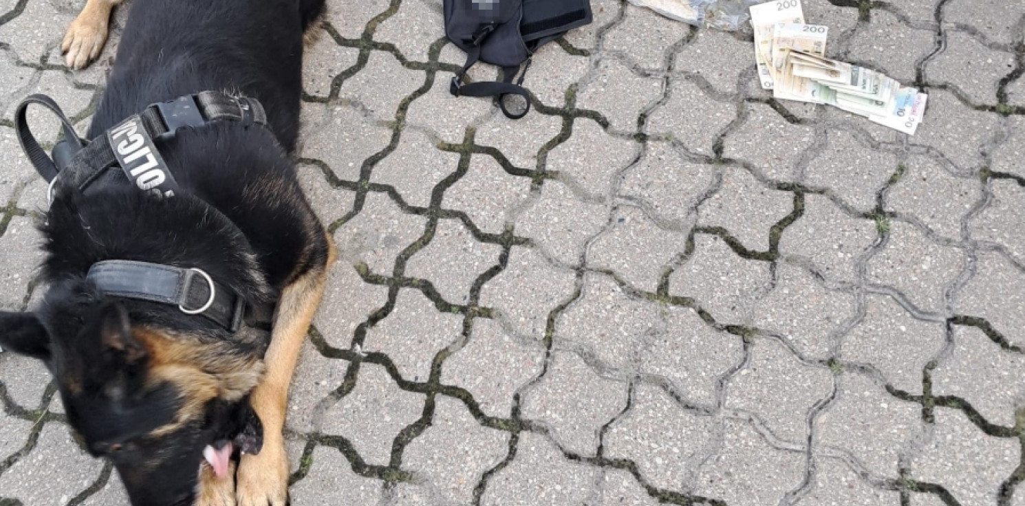 Pakość - Narkotyki w aucie i mieszkaniu. Wpadł 36-latek z Pakości