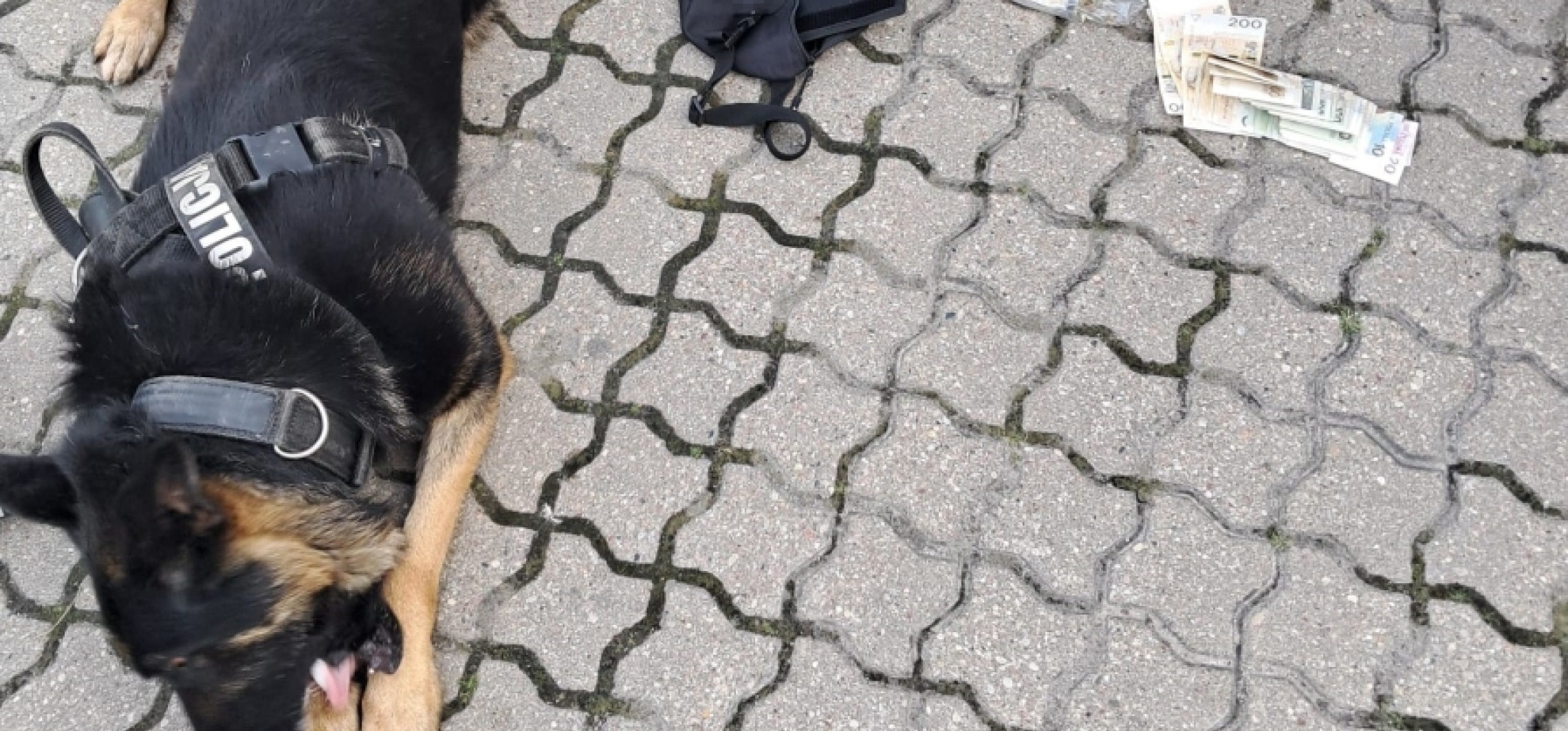 Narkotyki w aucie i mieszkaniu. Wpadł 36-latek z Pakości