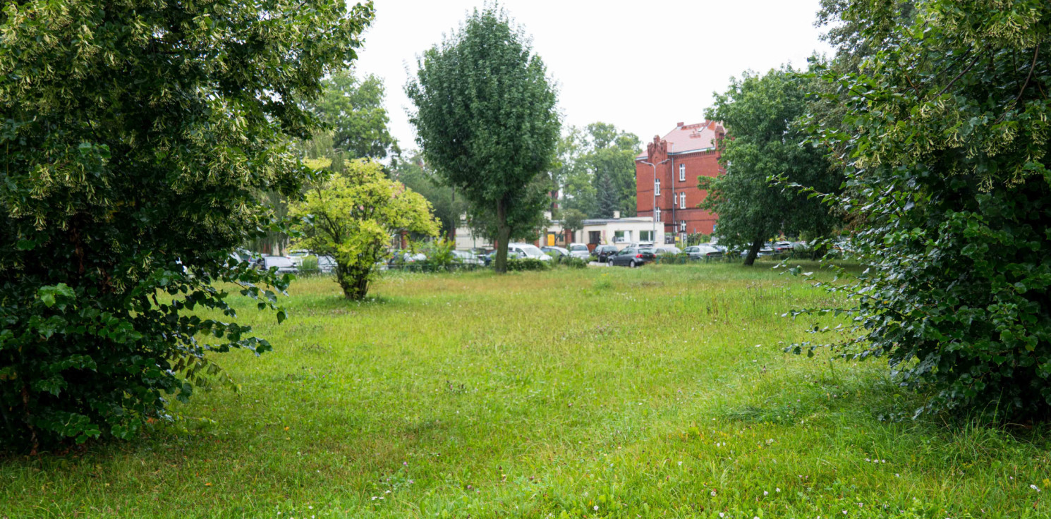 Inowrocław - Tutaj powstanie ogród deszczowy. Wiemy, ile będzie kosztował