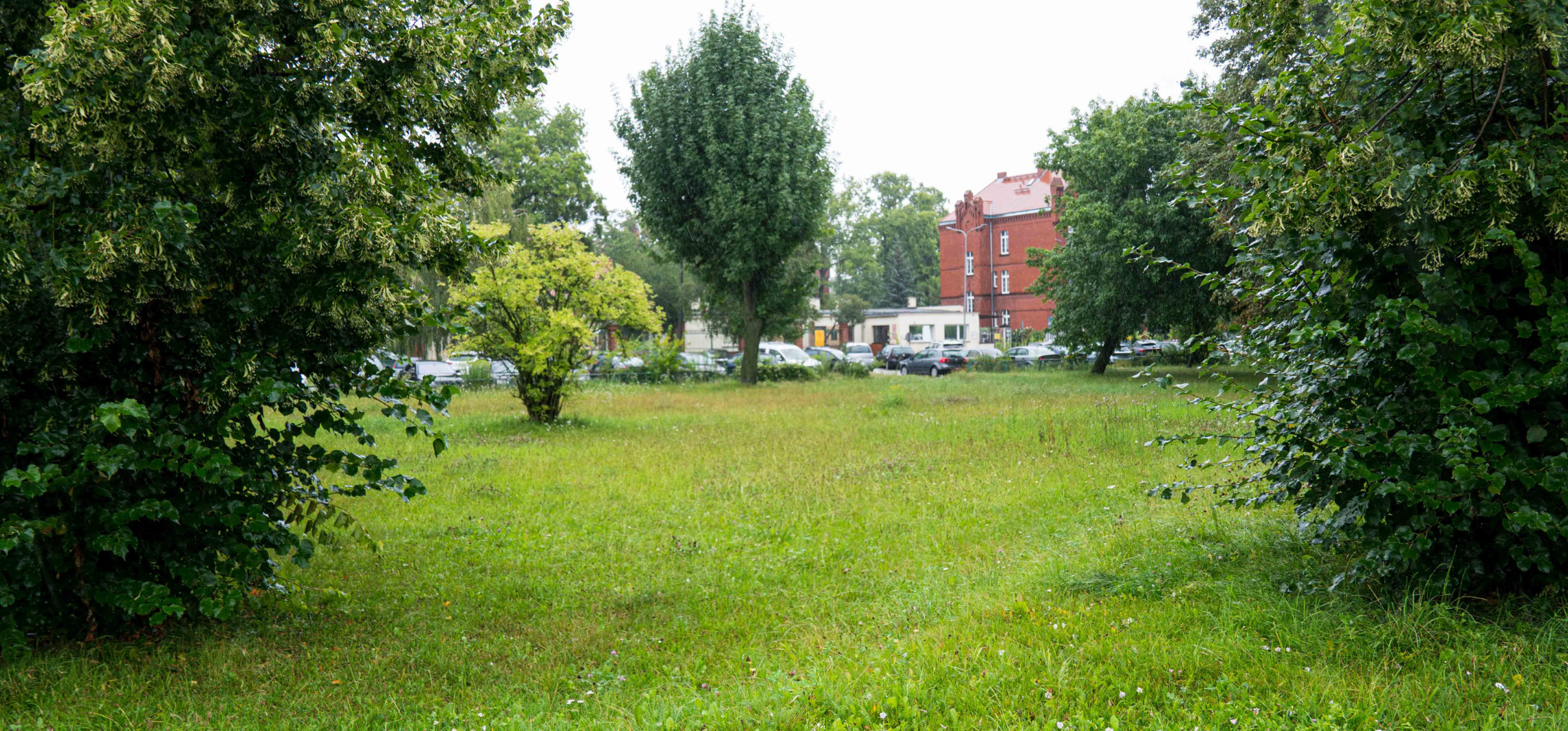 Tutaj powstanie ogród deszczowy. Wiemy, ile będzie kosztował