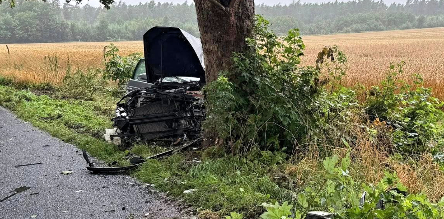 Region - Niedaleko Przyjezierza auto uderzyło w drzewo
