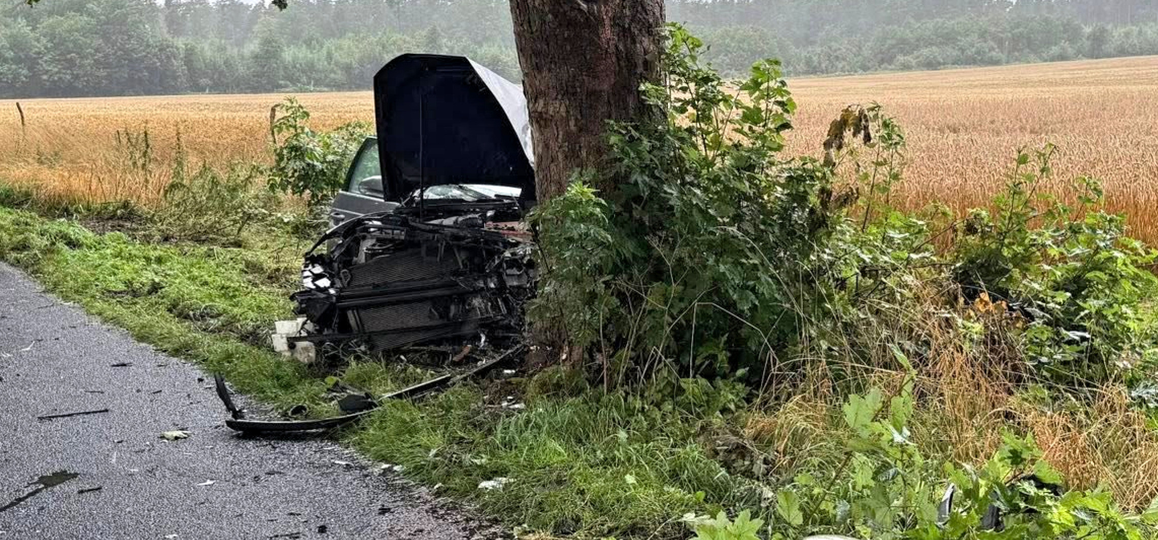 Region - Niedaleko Przyjezierza auto uderzyło w drzewo
