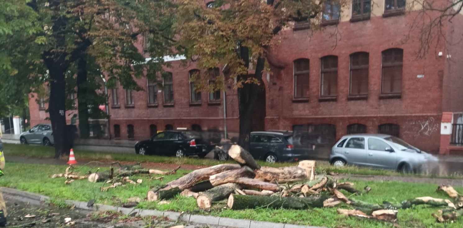 Inowrocław - Zalana piwnica, zerwany dach i drzewa na ulicy. Skutki poniedziałkowej pogody
