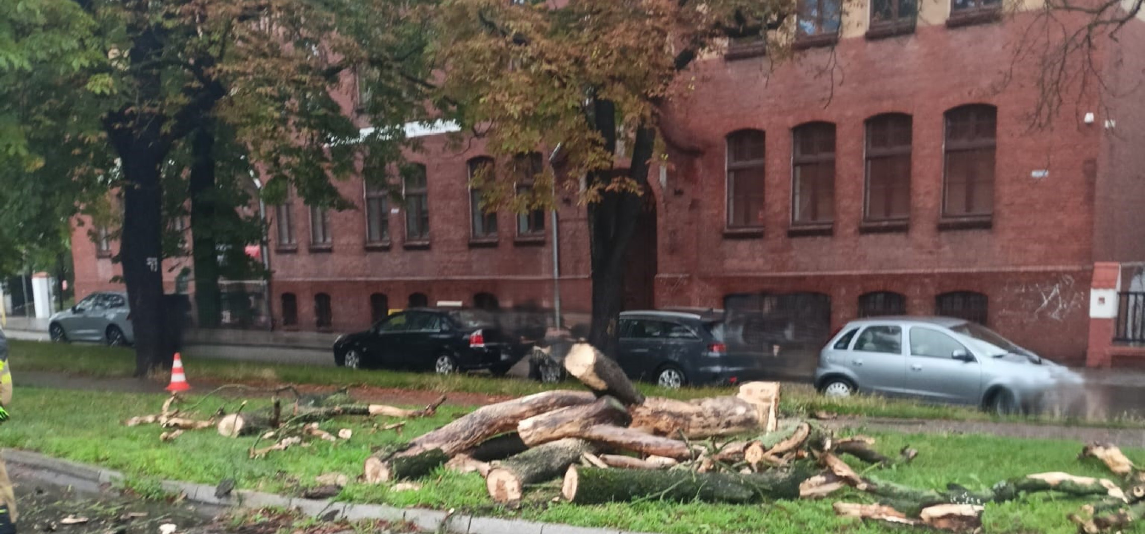 Zalana piwnica, zerwany dach i drzewa na ulicy. Skutki poniedziałkowej pogody