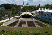 Wycięto 40 drzew. W planach inwestycja