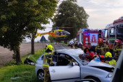 Seatem prosto w drzewo. Poruszające zdjęcia z ratowania 19-latki