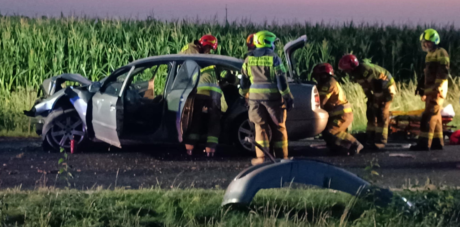 Kruszwica.online - Skoda uderzyła w drzewo