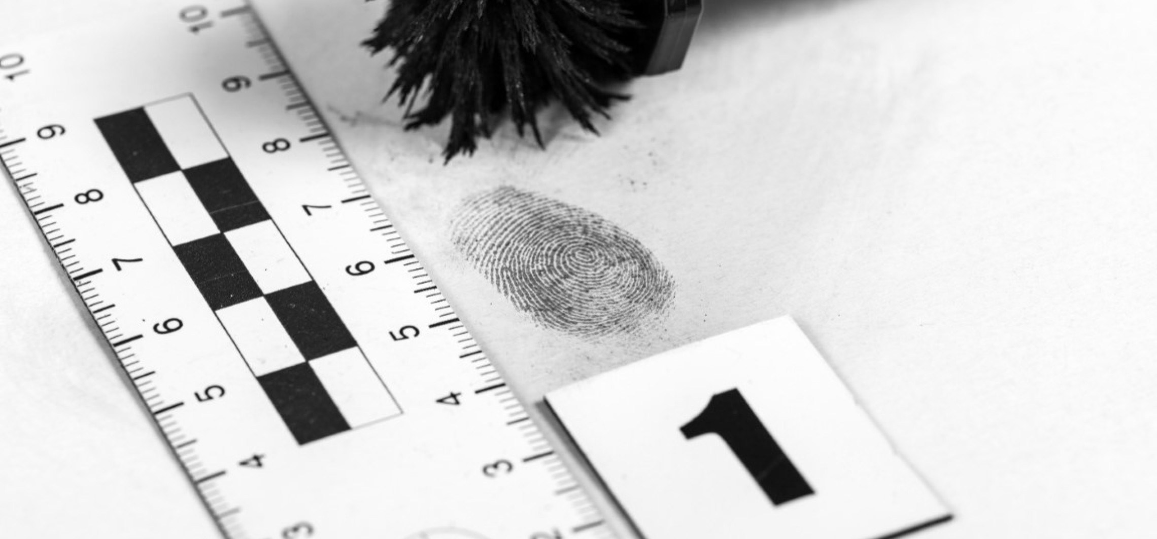 Kryminalistyka czy kryminologia? Poznaj różnice i wybierz studia dla siebie!