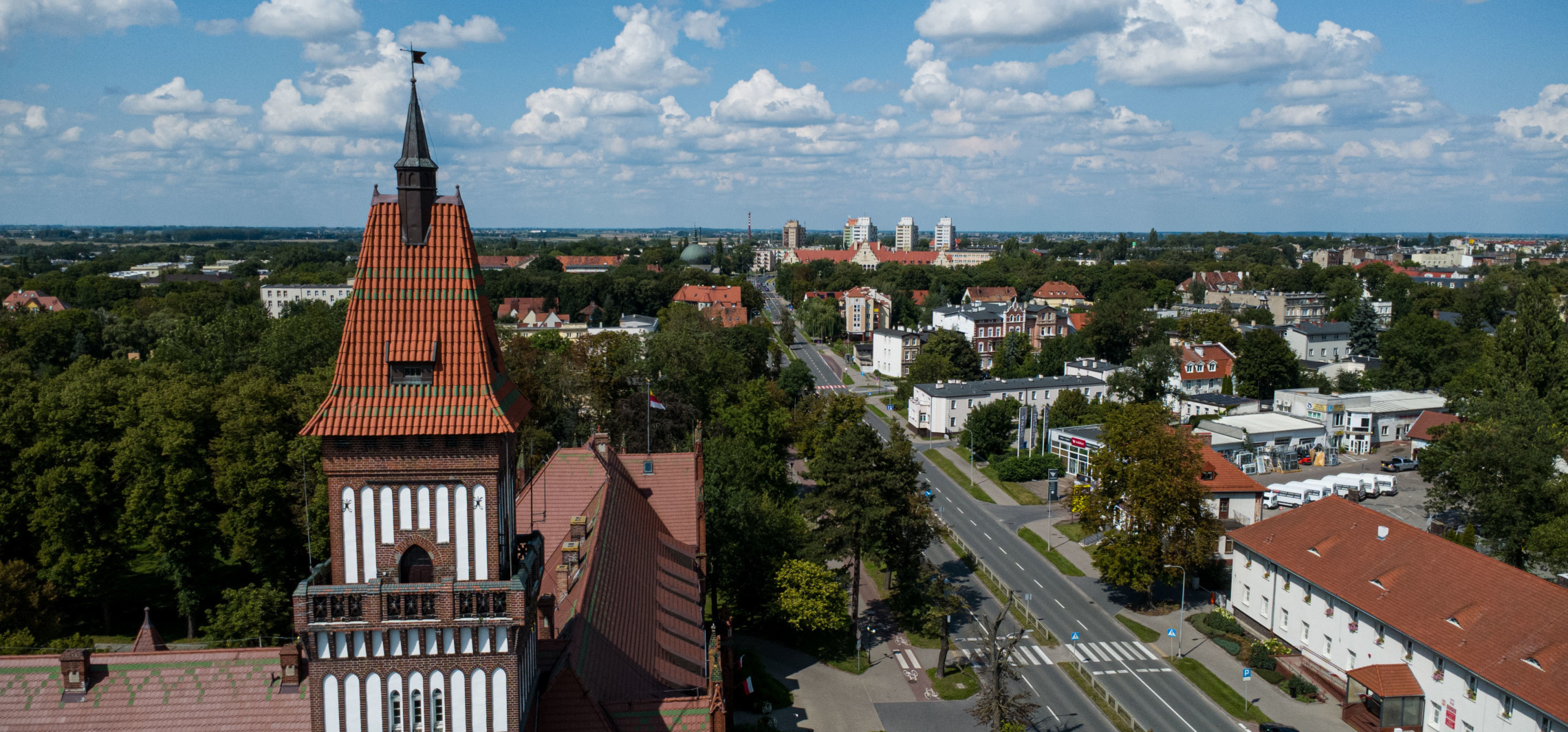 Ratusz tłumaczy, dlaczego zarośla są większe, niż zazwyczaj