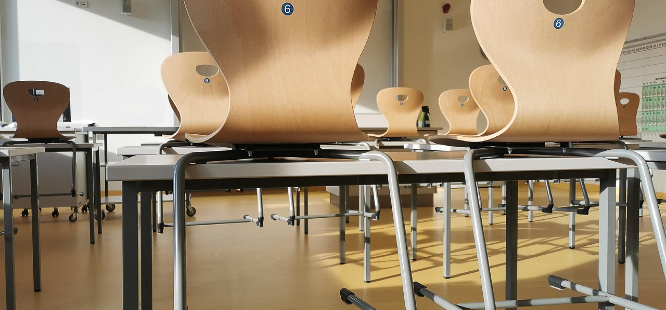 Ratusz odpowiada radnym. "To granie na emocjach"