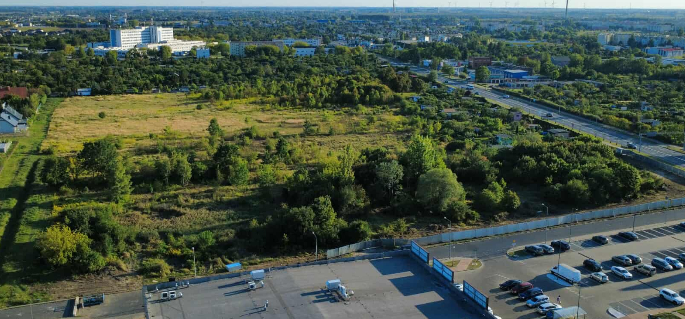 Liczba dnia: 151 drzew do wycięcia