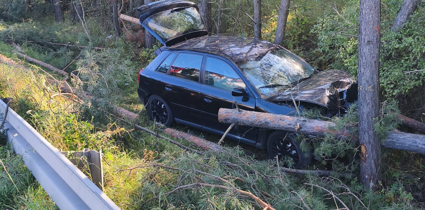 Strzelno - Wypadł z drogi i uderzył w drzewo