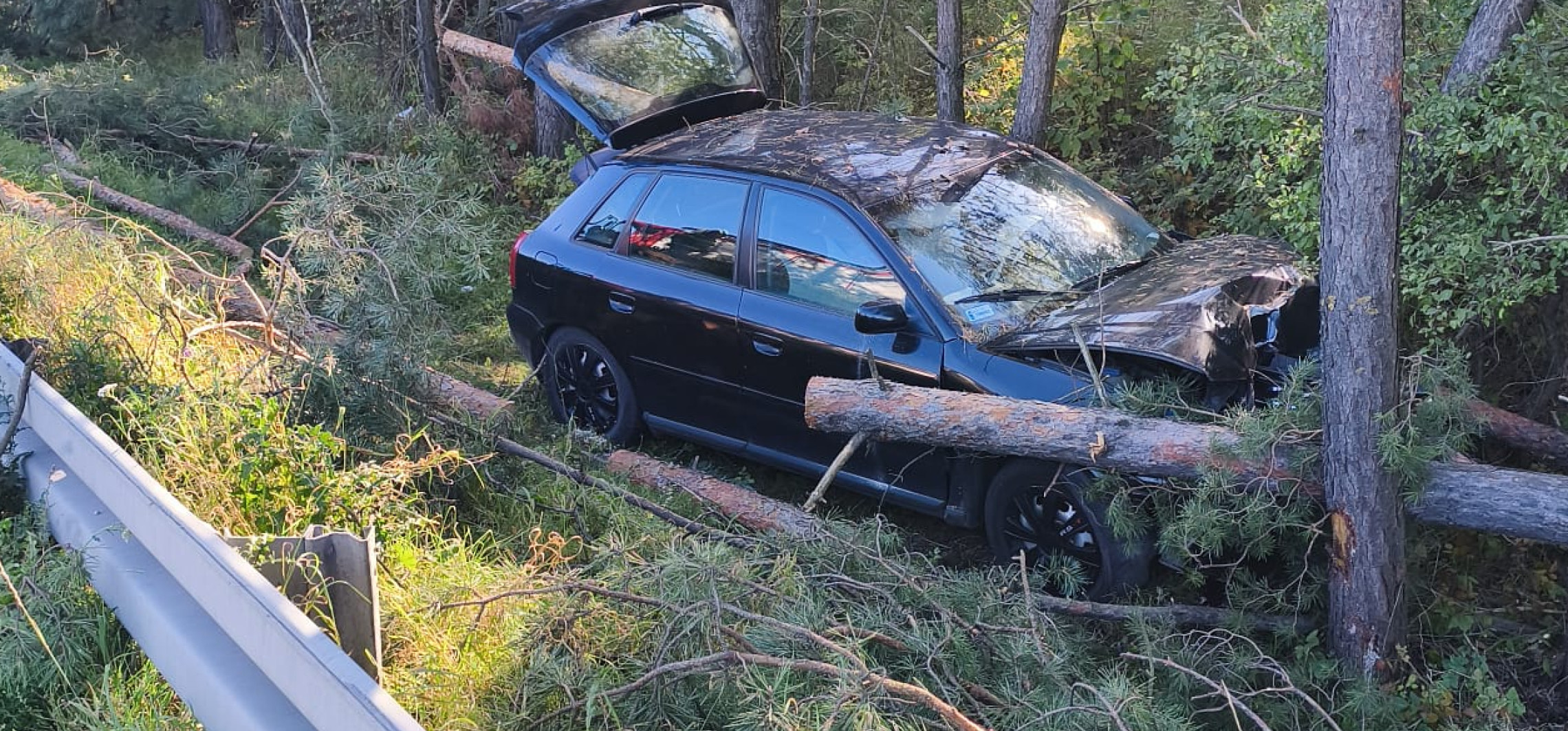 Wypadł z drogi i uderzył w drzewo