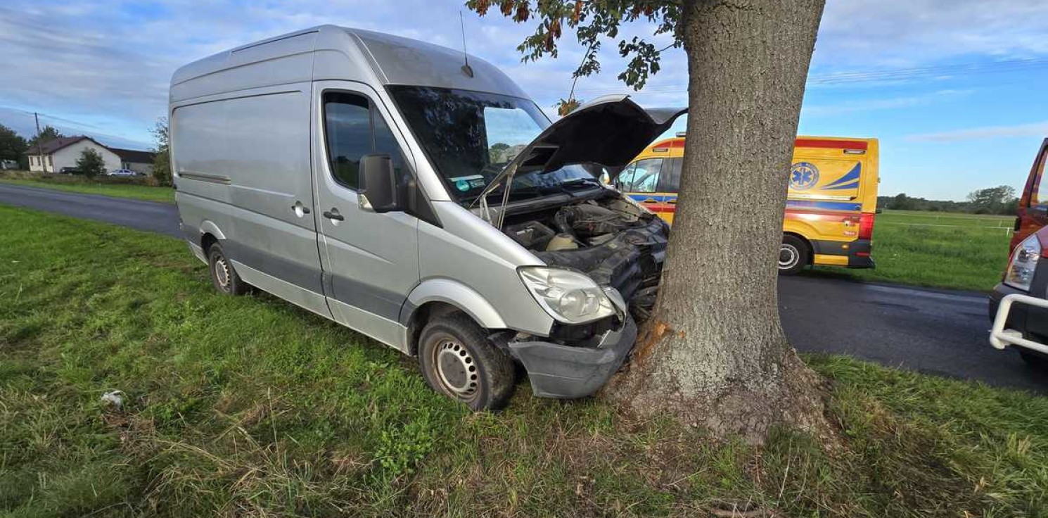Strzelno - Uderzył mercedesem w drzewo. Trafił do szpitala