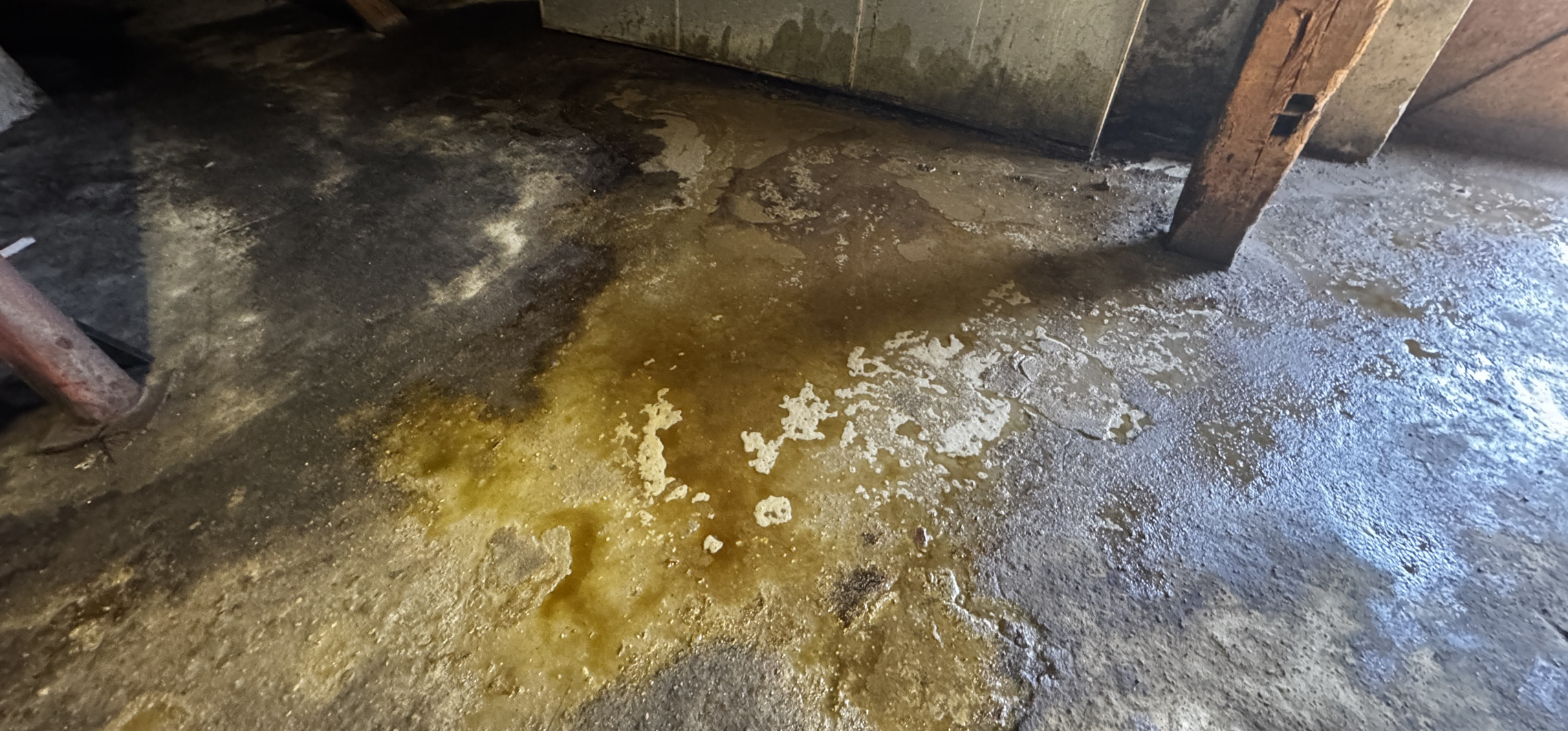 Ważny komunikat ratusza, eksperci o bezpieczeństwie, jak wyglądała dawna wieś?