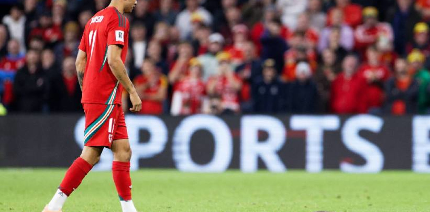 Kraj - Wizyta szczura zakłóciła przebieg meczu między Walią a Belgią w Cardiff