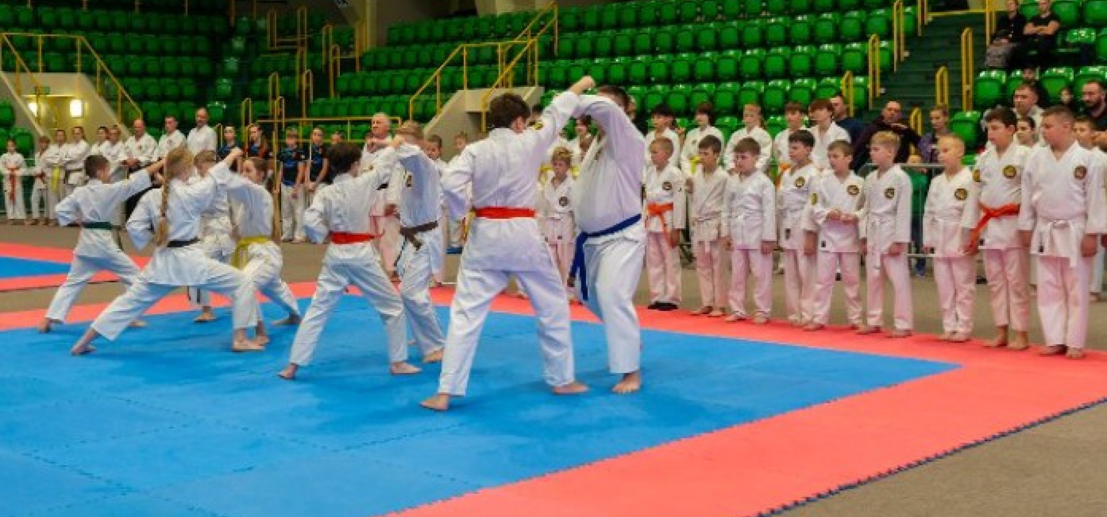 Udane zawody członków sekcji sztuk walki Rondo