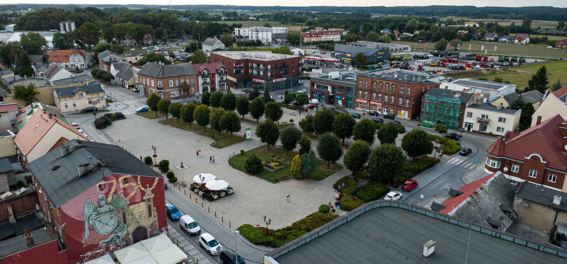 Szukają choinki, która stanie na rynku