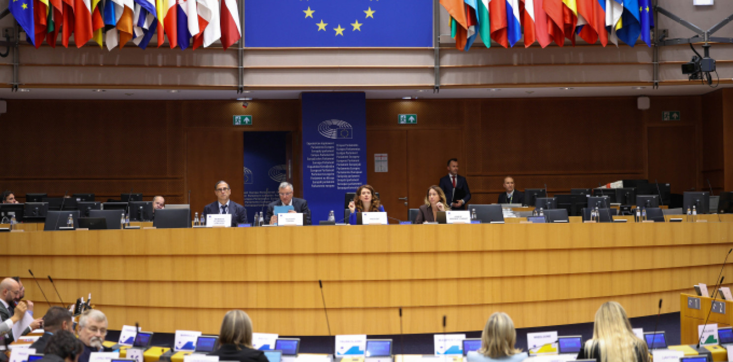 Region - Europejskie regiony biją na alarm w sprawie demografii: trzeba zaangażować unijne fundusze 