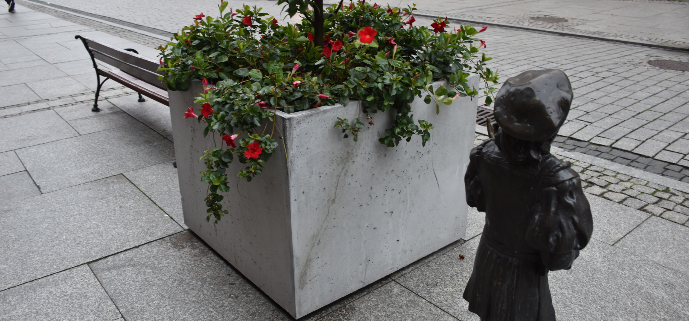 Kierowała z czterema promilami, zmiany na Królówce, oświadczenie Inofamy