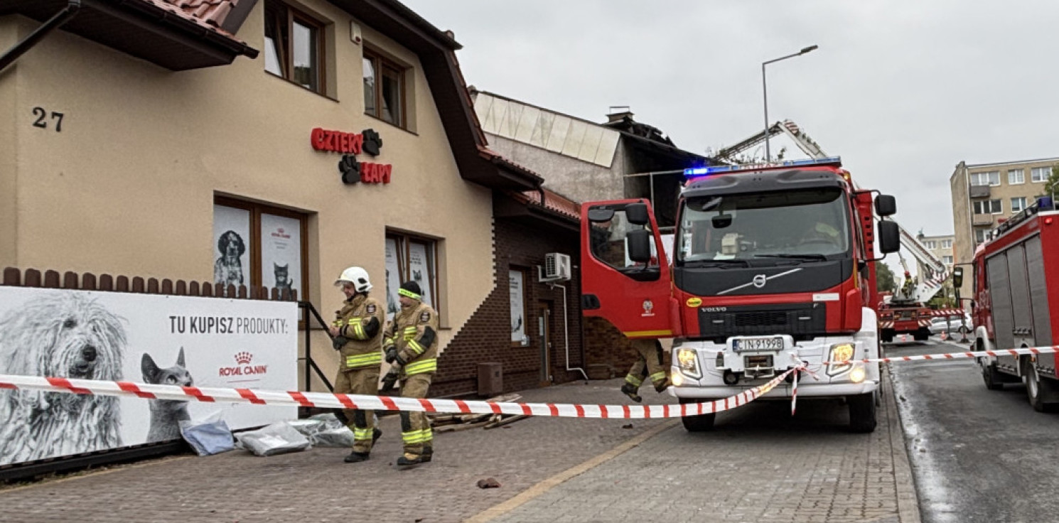 Inowrocław - Cztery łapy wracają po pożarze. "Dziękujemy wszystkim, którzy okazali nam wsparcie"
