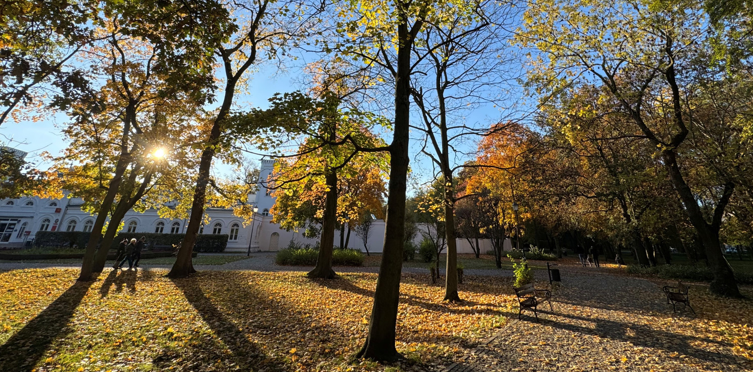 Inowrocław - Złota polska jesień zawitała do Solanek