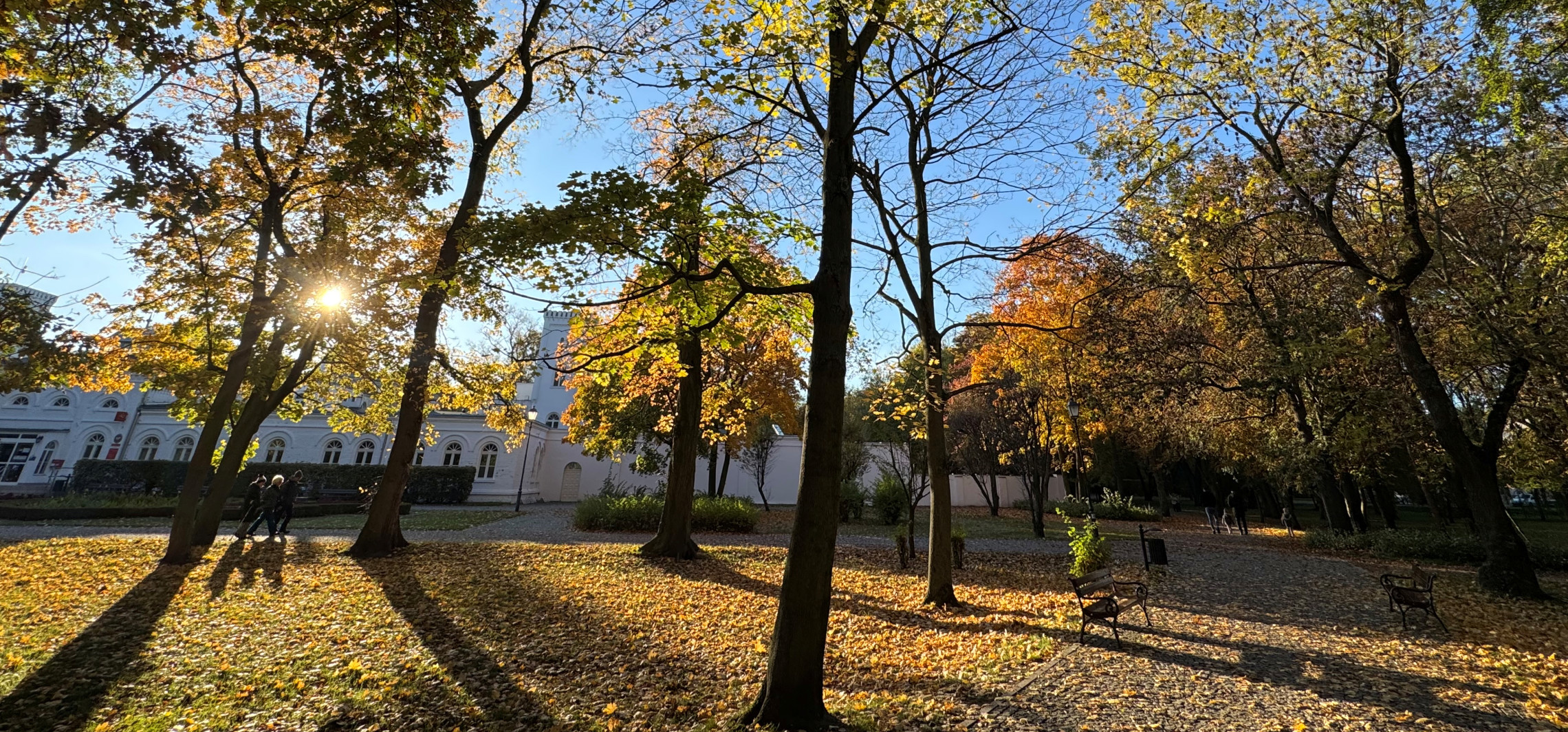Złota polska jesień zawitała do Solanek