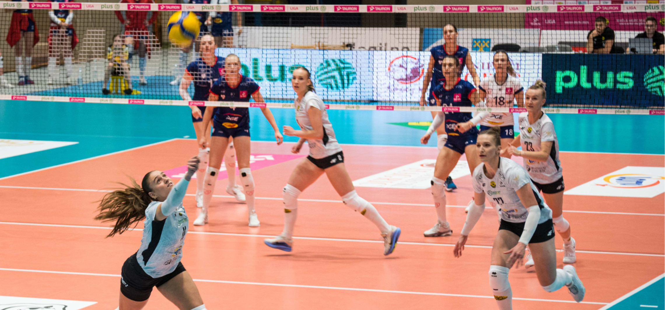 W Mogilnie ruszyła Tauron Liga