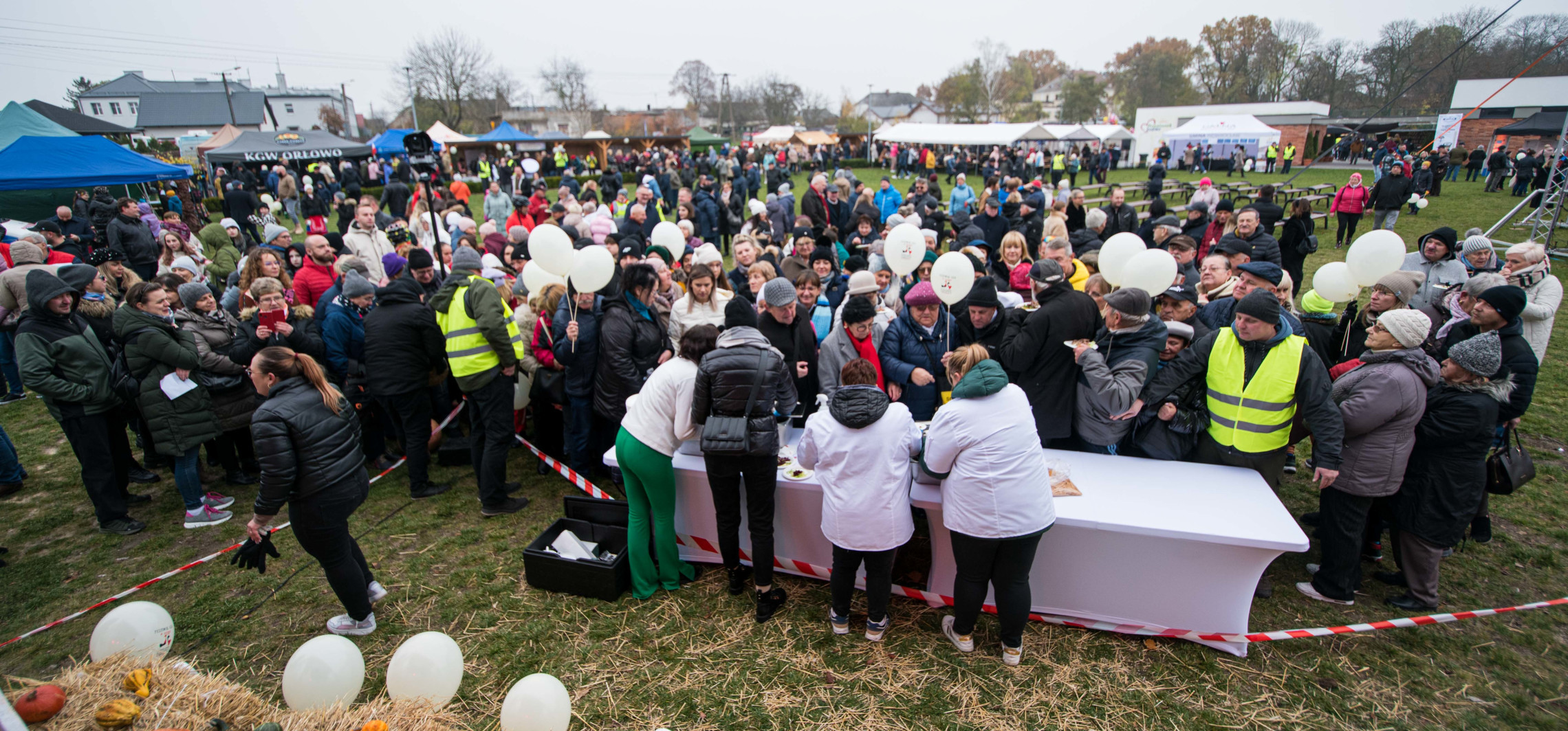 Przed nami II Festiwal Gęsi. Oto program