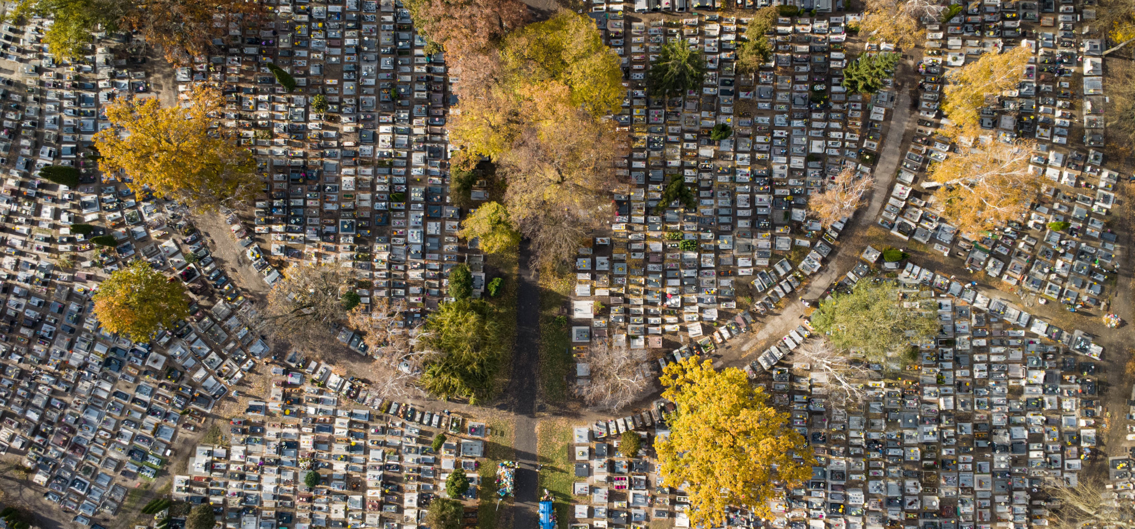 Cmentarze w powiecie. Który największy, a który najmniejszy?