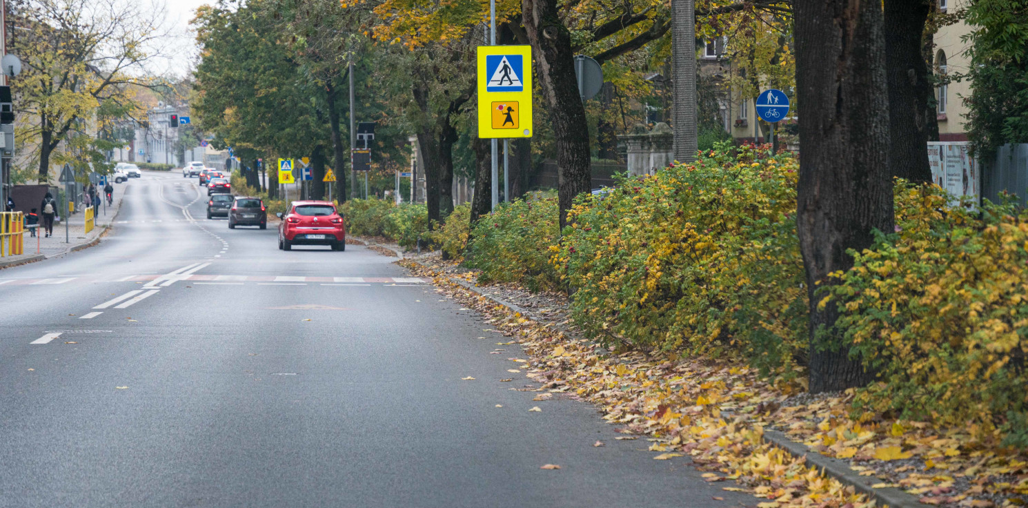 Inowrocław - Krzewy utrudniają widoczność. Tuż przy szkole