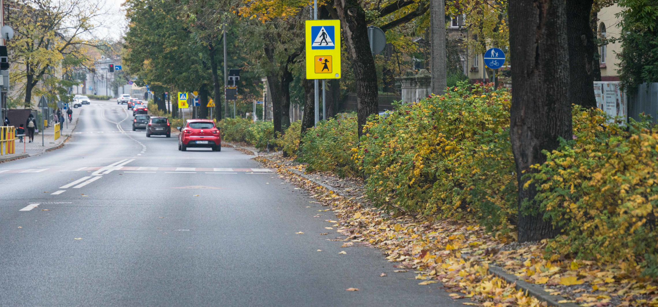 Krzewy utrudniają widoczność. Tuż przy szkole