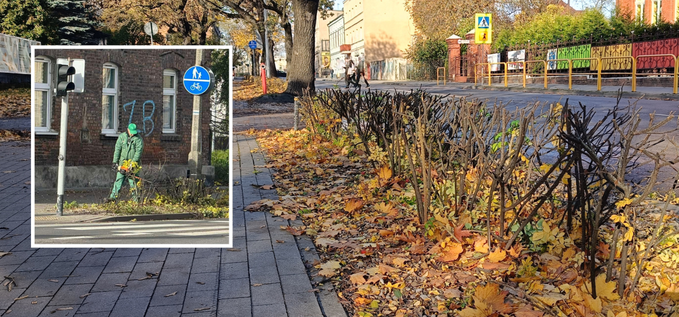 Krzewy przycięte, widoczność poprawiona