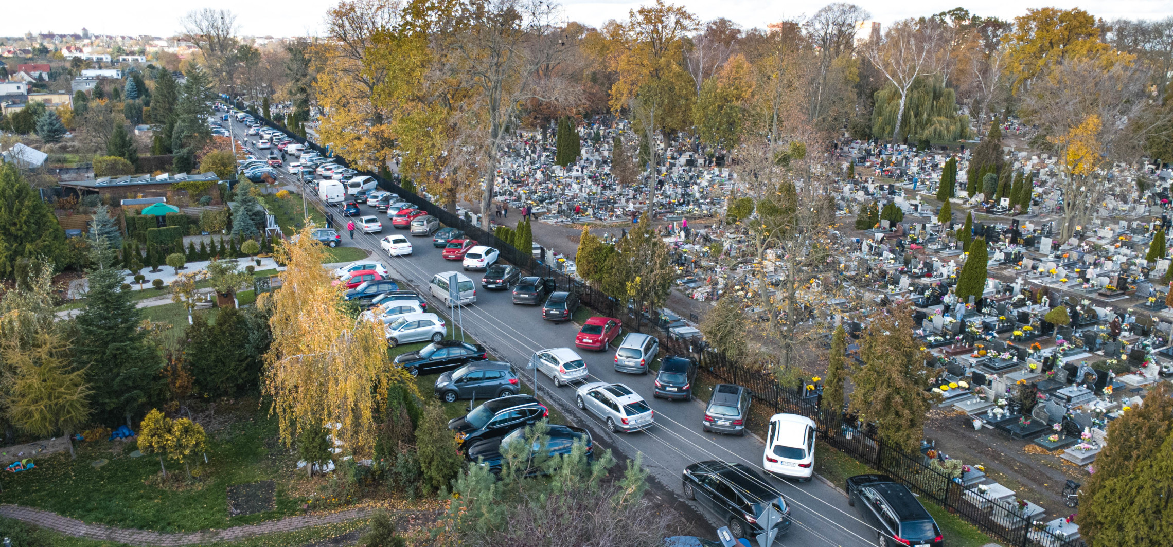 Pojechał pod prąd przy cmentarzu. Był pijany