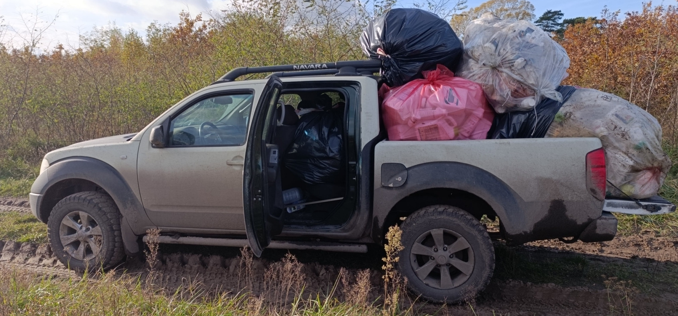 Niebezpieczne odpady w lesie pod Gniewkowem