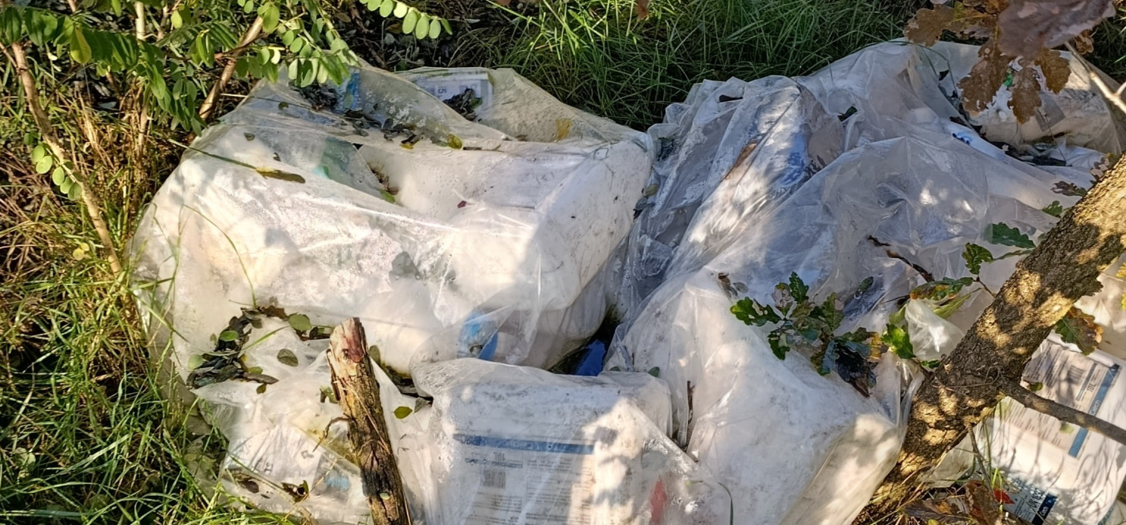 Dziecko zginęło w wypadku, białe plamy w komunikacji, groźne odpady znalezione w lesie