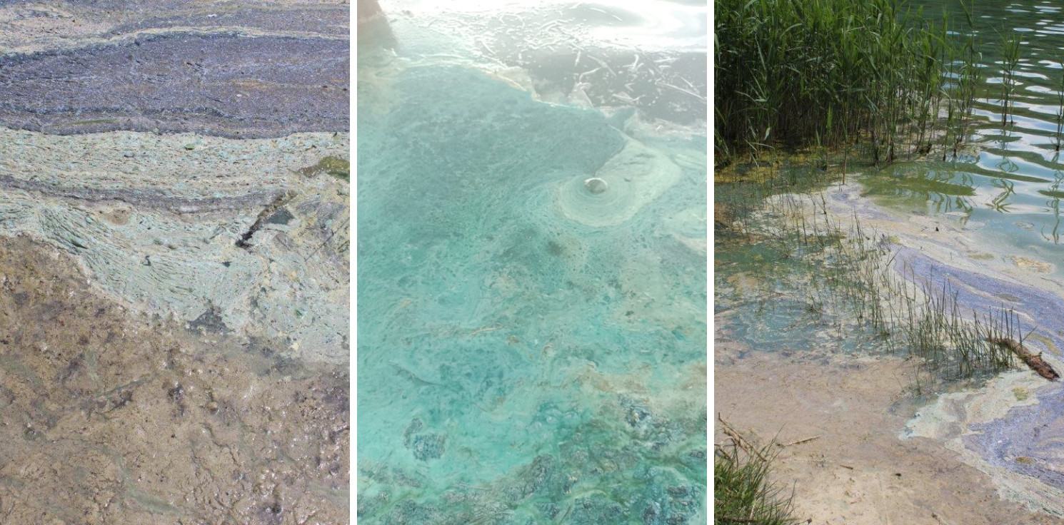 Inowrocław - Dziwna barwa wody. Coraz więcej zgłoszeń