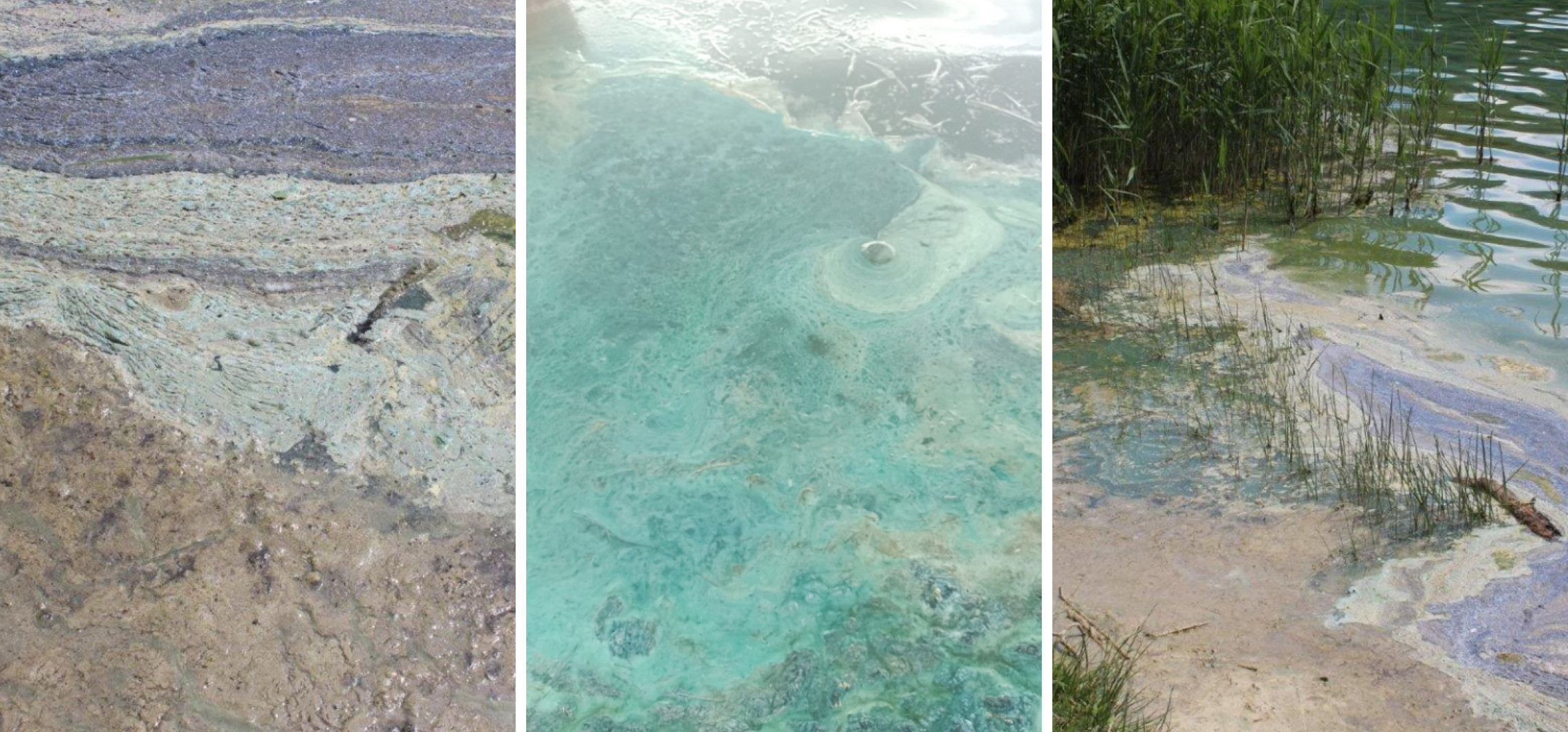 Dziwna barwa wody. Coraz więcej zgłoszeń