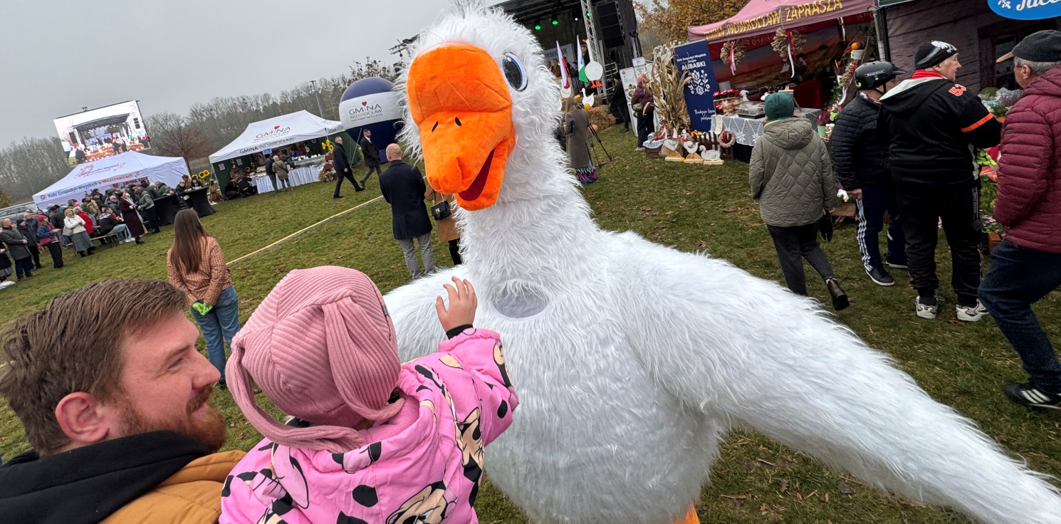 Gmina Inowrocław - W Łojewie trwa II Festiwal Gęsi