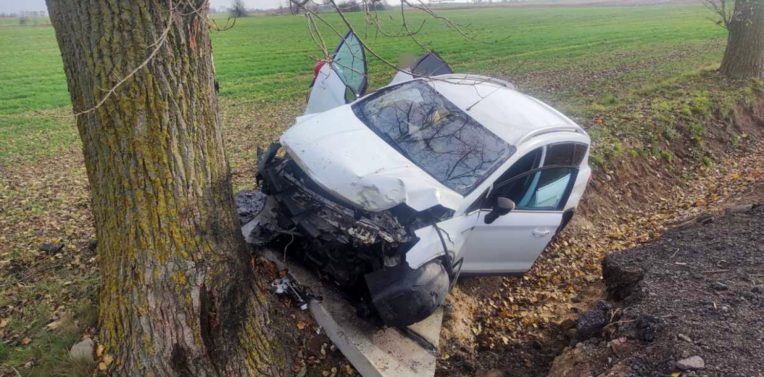Mogilno - Kierująca fordem uderzyła w drzewo. Na miejscu lądował śmigłowiec LPR