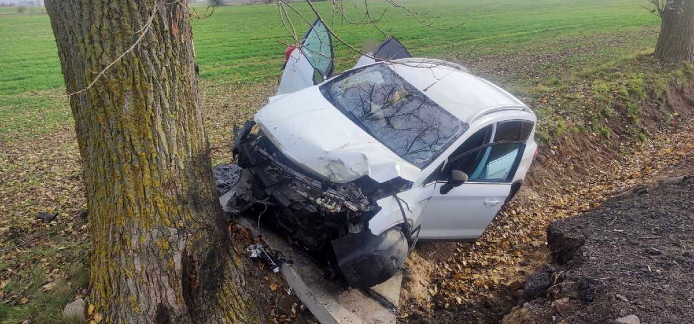 Kierująca fordem uderzyła w drzewo. Na miejscu lądował śmigłowiec LPR